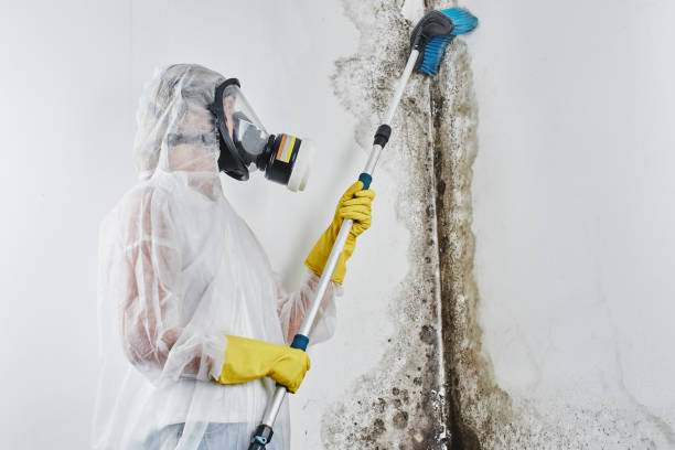Best Residential Mold Removal  in Lake Sconsin, WI