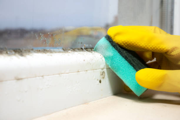 Best Mold Remediation Services  in Lake Sconsin, WI