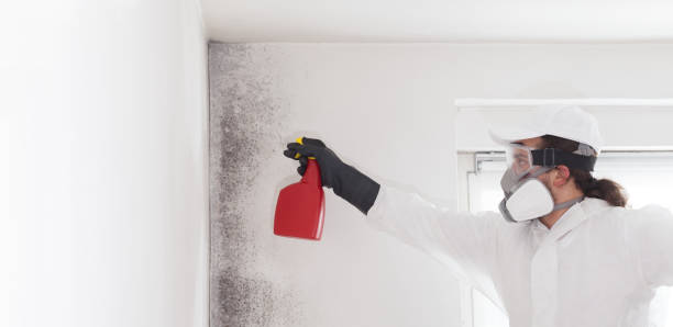 Best Mold Testing  in Lake Sconsin, WI