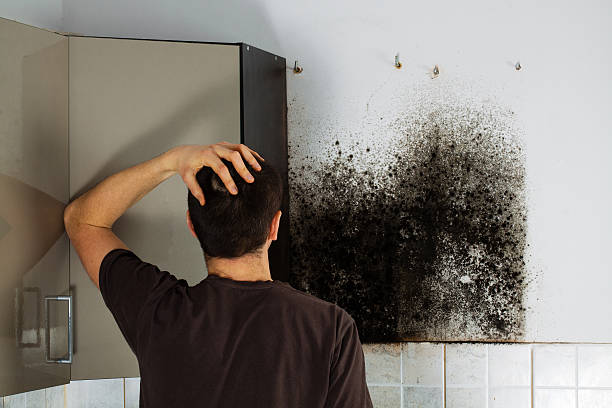 Mold Removal Process in Lake Wisconsin, WI